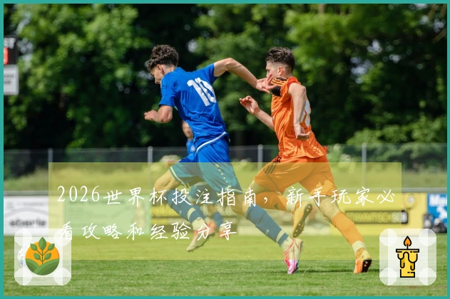 2026世界杯投注指南，新手玩家必看攻略和经验分享