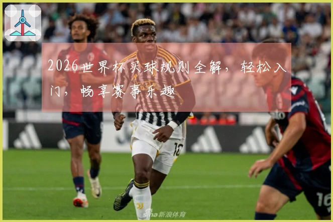 2026世界杯买球规则全解，轻松入门，畅享赛事乐趣