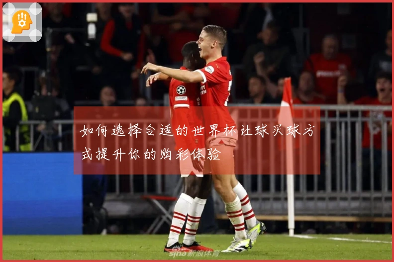 如何选择合适的世界杯让球买球方式提升你的购彩体验