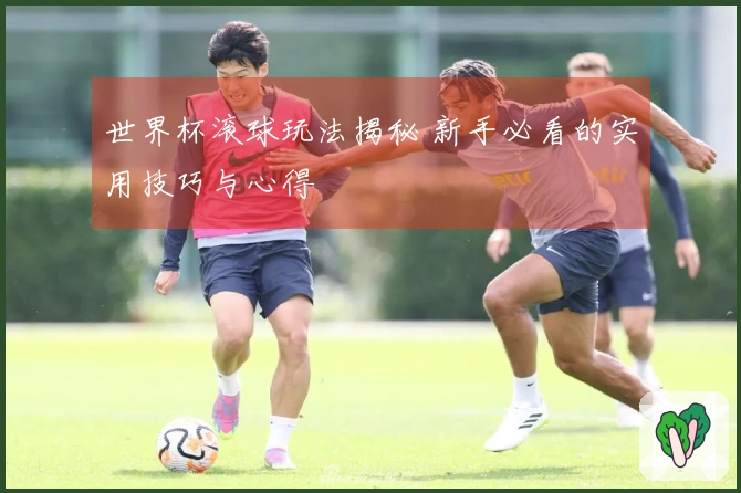 世界杯滚球玩法揭秘 新手必看的实用技巧与心得