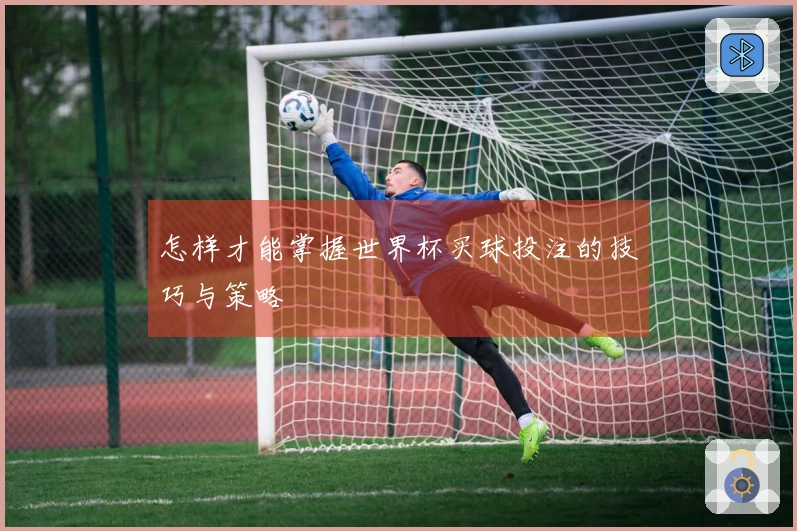 怎样才能掌握世界杯买球投注的技巧与策略