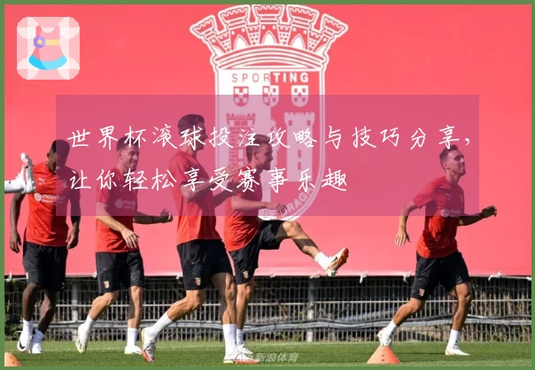 世界杯滚球投注攻略与技巧分享，让你轻松享受赛事乐趣