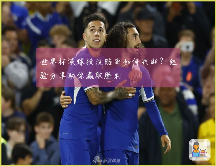 世界杯滚球投注赔率如何判断？经验分享助你赢取胜利