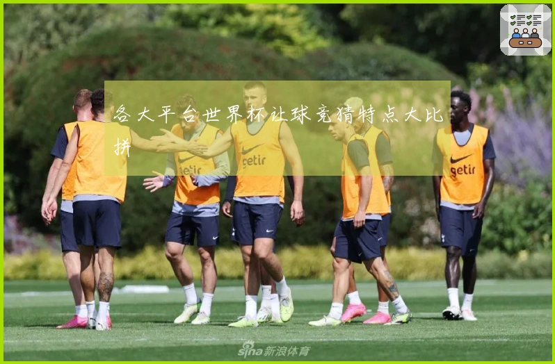 各大平台世界杯让球竞猜特点大比拼