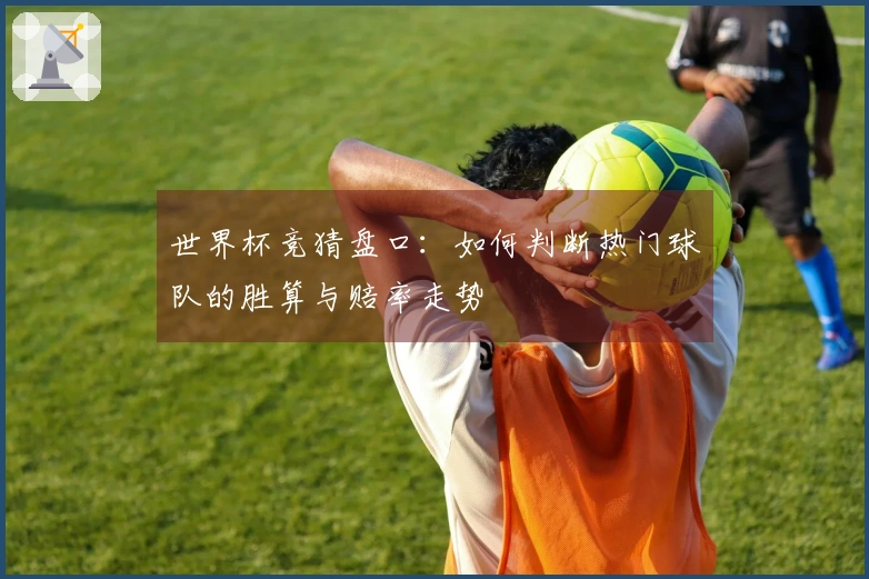 世界杯竞猜盘口：如何判断热门球队的胜算与赔率走势