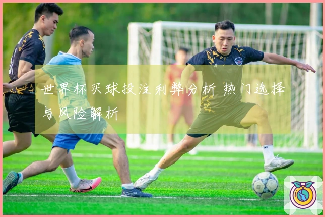 世界杯买球投注利弊分析 热门选择与风险解析