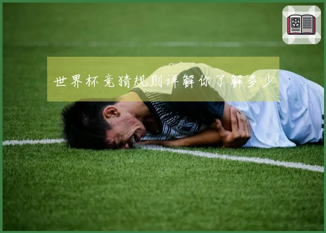 世界杯竞猜规则详解你了解多少