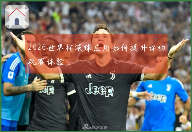 2026世界杯滚球应用如何提升你的观赛体验