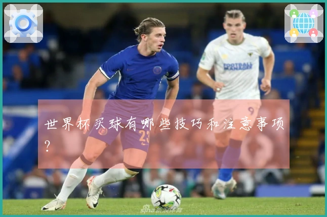 世界杯买球有哪些技巧和注意事项？