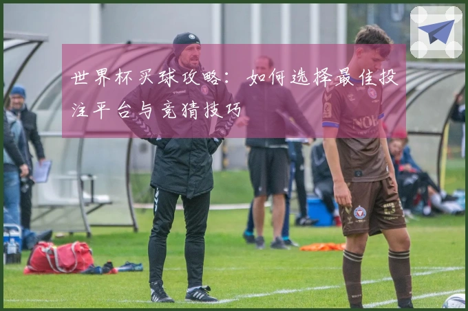 世界杯买球攻略：如何选择最佳投注平台与竞猜技巧