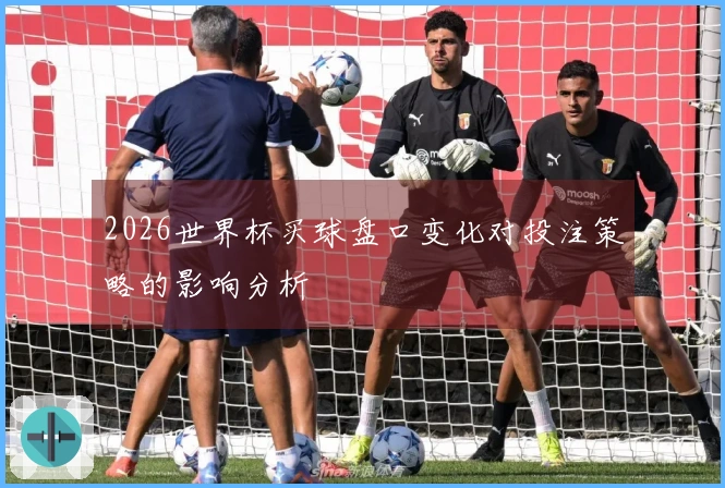 2026世界杯买球盘口变化对投注策略的影响分析
