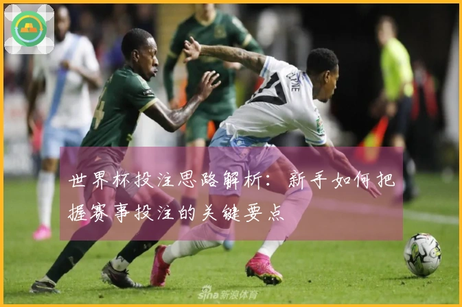 世界杯投注思路解析：新手如何把握赛事投注的关键要点