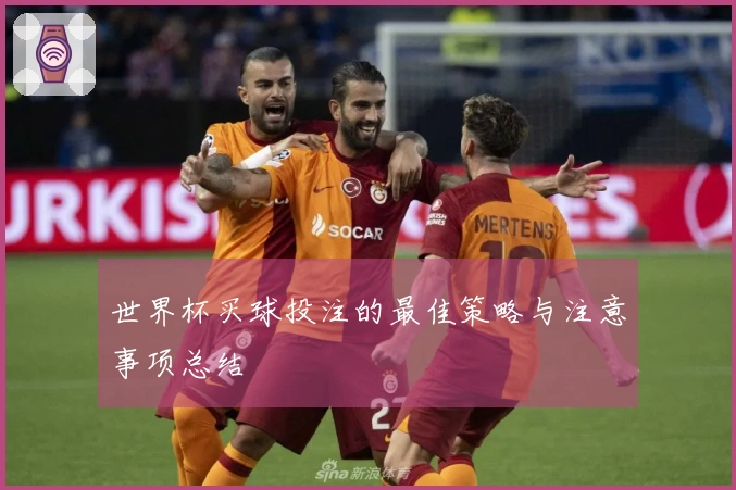 世界杯买球投注的最佳策略与注意事项总结
