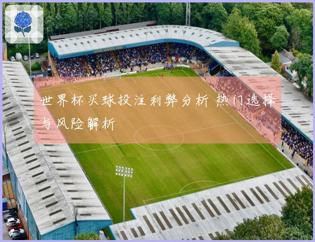 世界杯买球投注利弊分析 热门选择与风险解析