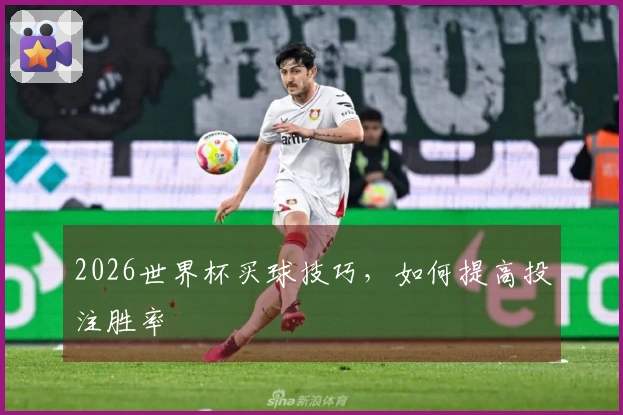 2026世界杯买球技巧，如何提高投注胜率