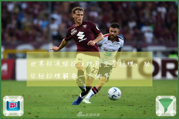 世界杯滚球投注规则全景梳理，助你轻松理解每一个细节