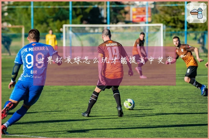 世界杯滚球怎么玩才能提高中奖率