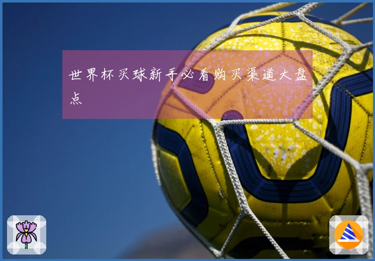 世界杯买球新手必看购买渠道大盘点
